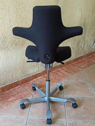 Model Hag Capisco 8106 Chair Adjustable Seat Depth and Backrest Height