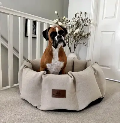 Ivy & Duke “The Den” Luxury Dog Bed – Medium – Cashmere
Beautiful premium dog bed from British luxu