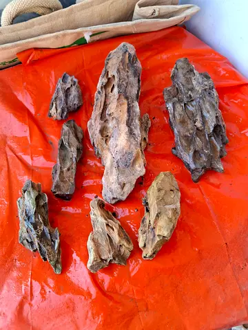 Aquarium Dragon Stone Pieces - Assorted Sizes (7 pcs)