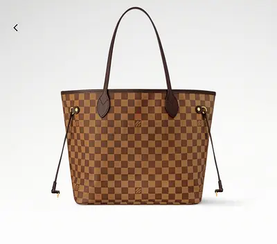 Louis Vuitton brand new
