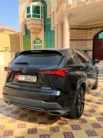 2019 Lexus NX-SERIES 照片 5