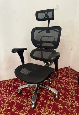 Ergonomic Mesh Office Chair with Headrest - Black