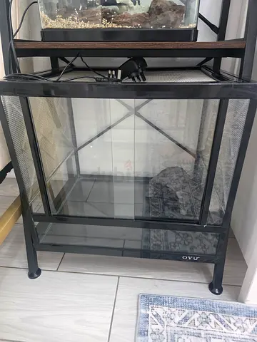 Tortoise tank for sale