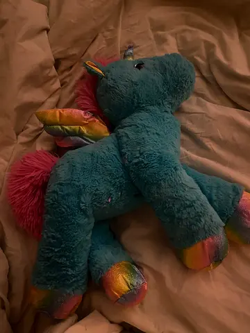 Stuff Toy