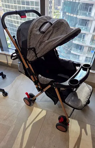 2 in 1 Baby Stroller