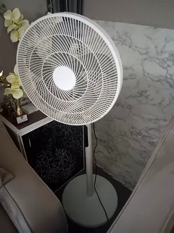 Stand Fan