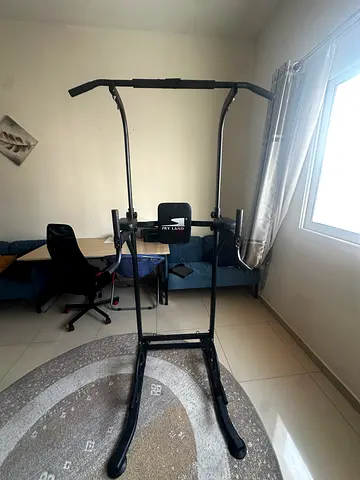 Multi-function Pull-up and Dip Station — Good Condition