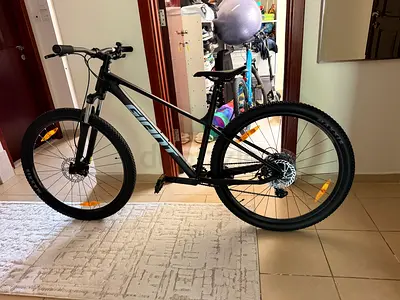 Bicycle giant