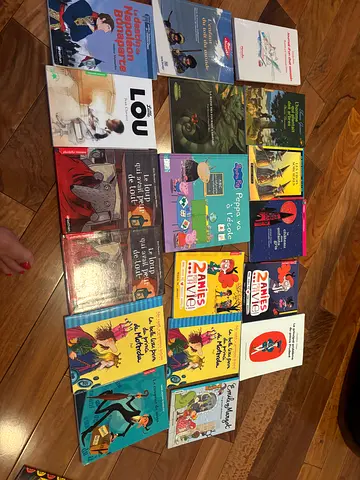 Collection of French Children's Books (assorted picture & story books)