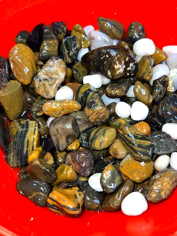 Aquarium Items for Sale