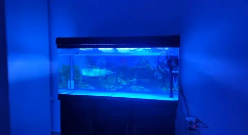 120cm Aquarium Tank with Cabinet and Lighting - Ready Setup