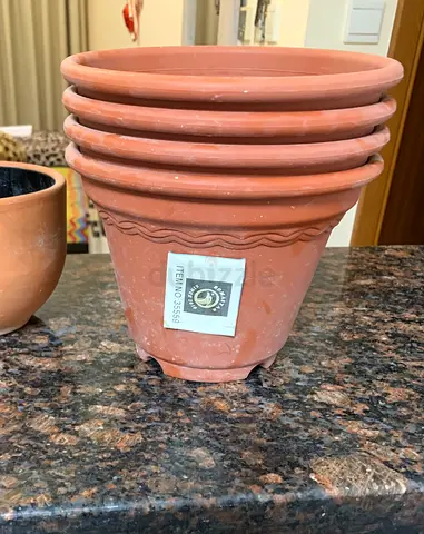 Plants pots