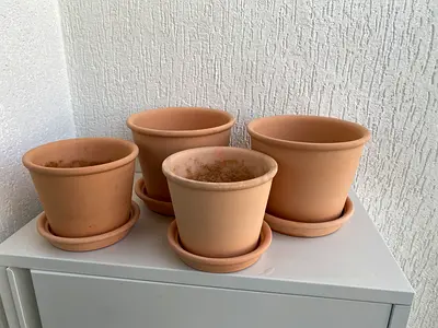 Set of terracotta plant pots with saucers