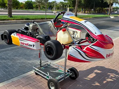Birel Art 125cc Go Kart