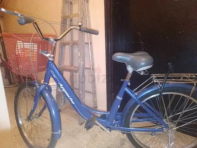 New Girls Cycle