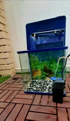 Small aquarium tank with filter, hood and light - used. With pebbles and back screen