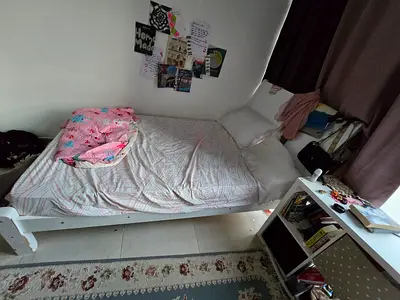 Free Single Bed 120*200