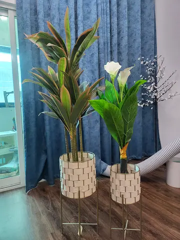 Plant with stand