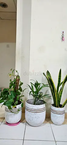 Set of 4 Decorative Indoor Potted Plants with Ceramic-Style Pots