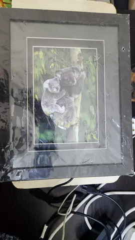 Framed nature print with matting (ready to hang)
