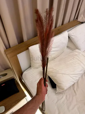 Set of Decorative Pampas Grass Stems - Neutral Brown
