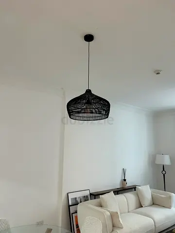 Ceiling Lamps (2No)