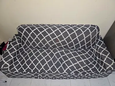 Sofa Cum Bed with hand rest