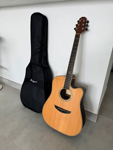 Electro Acoustic Guitar Haineswood Masterworks Dreadnought Cutaway Electro