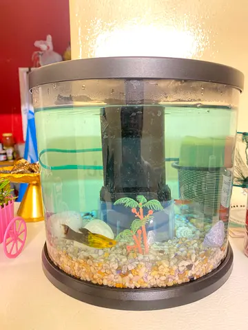 Small Aquarium for sale