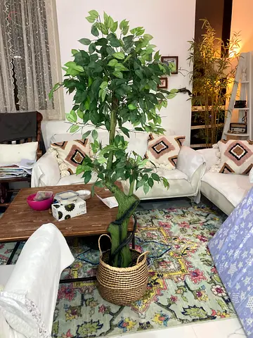 شجره بلاستيك طويله للزينه
