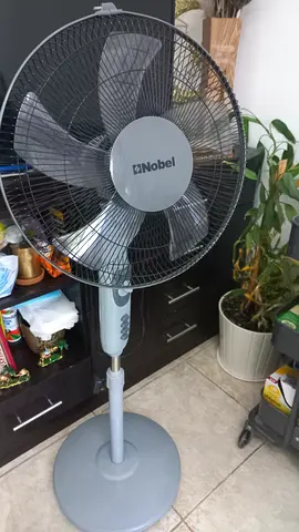 Stand Fan