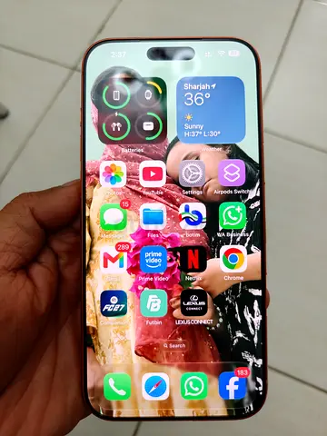 iPhone 17 Pro Max With Bare Protection