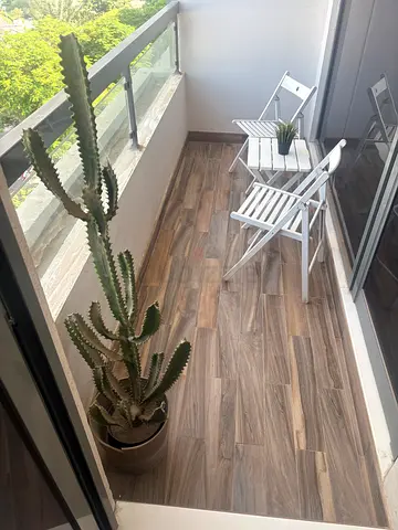 White wooden folding balcony chairs - set of 2 + cactus tree + miniature plant