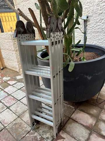 Expandable ladder
