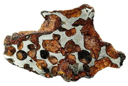 Slice of Pallasite Meteorite with Olivine Crystals