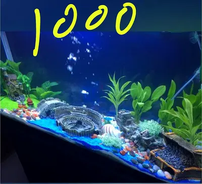 Complete Aquarium Setup with Decor and Plants - Ready to Use