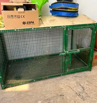 New cage 60x55x95