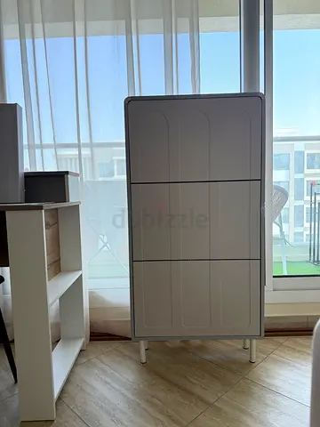 Aesthetic Shoe Cabinet on Throwaway Price