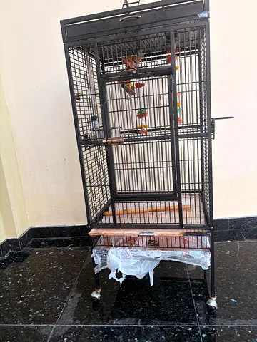 Parrot cage bird cage with toys brand new condition