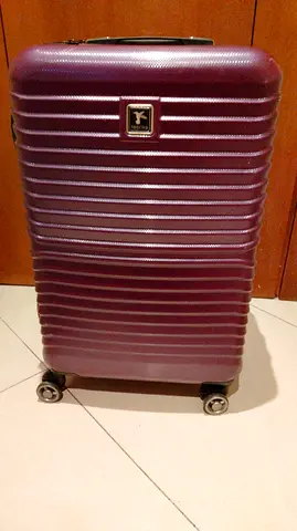 Purple Hard Shell Carry-On Suitcase with Spinner Wheels