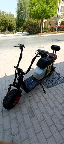 Modified electric Harley/dragon mart