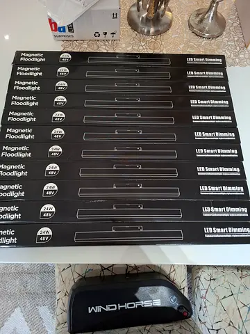 Magnetic flood light