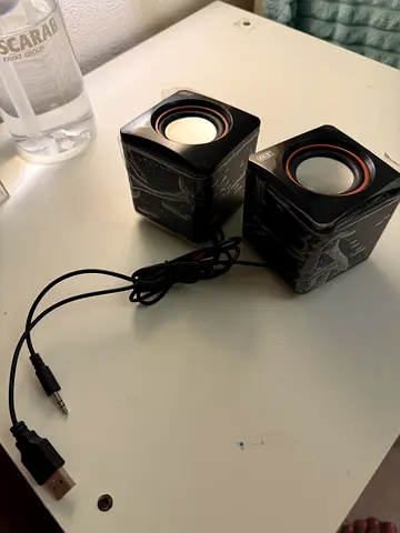 Speaker