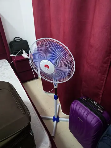 Pedestal fan