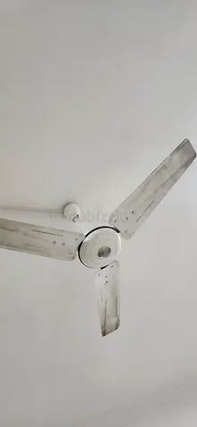 Ceiling Fan - 3 Blade, White, Working Condition