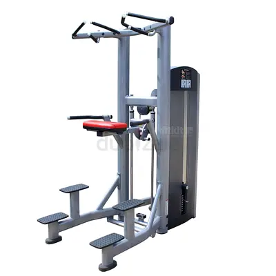 Life Fitness Signature Series Assisted Chin Dip