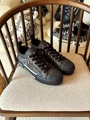 DIOR B23 low top sneakers