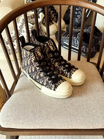 DIOR B23 low top sneakers