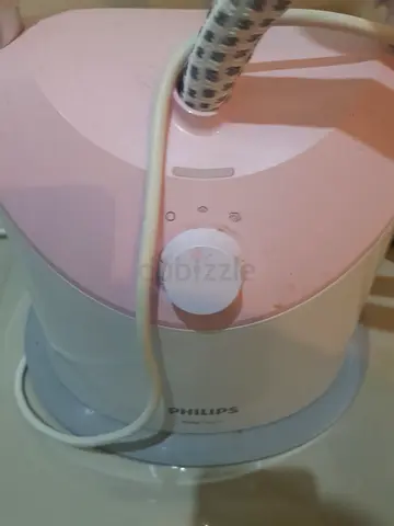 Steam iron