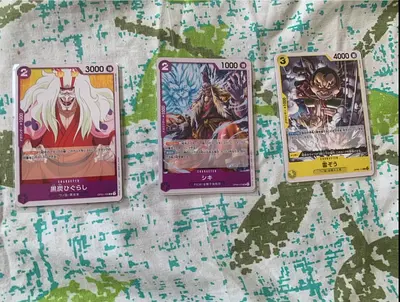 Kurozumi Higurashi, Shiki & Raizo